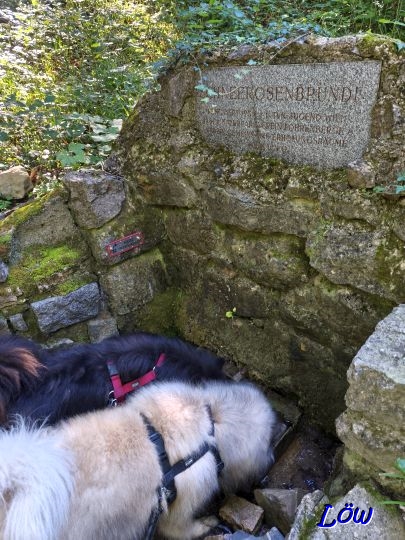 5.8.2025 - Sommerspritzer?